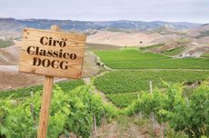 vineyard with Chianti Classico DOCG sign