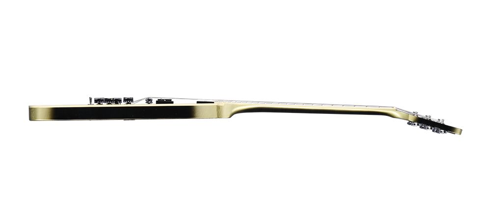 Gibson Adam Jones Flying V Collector's Edition