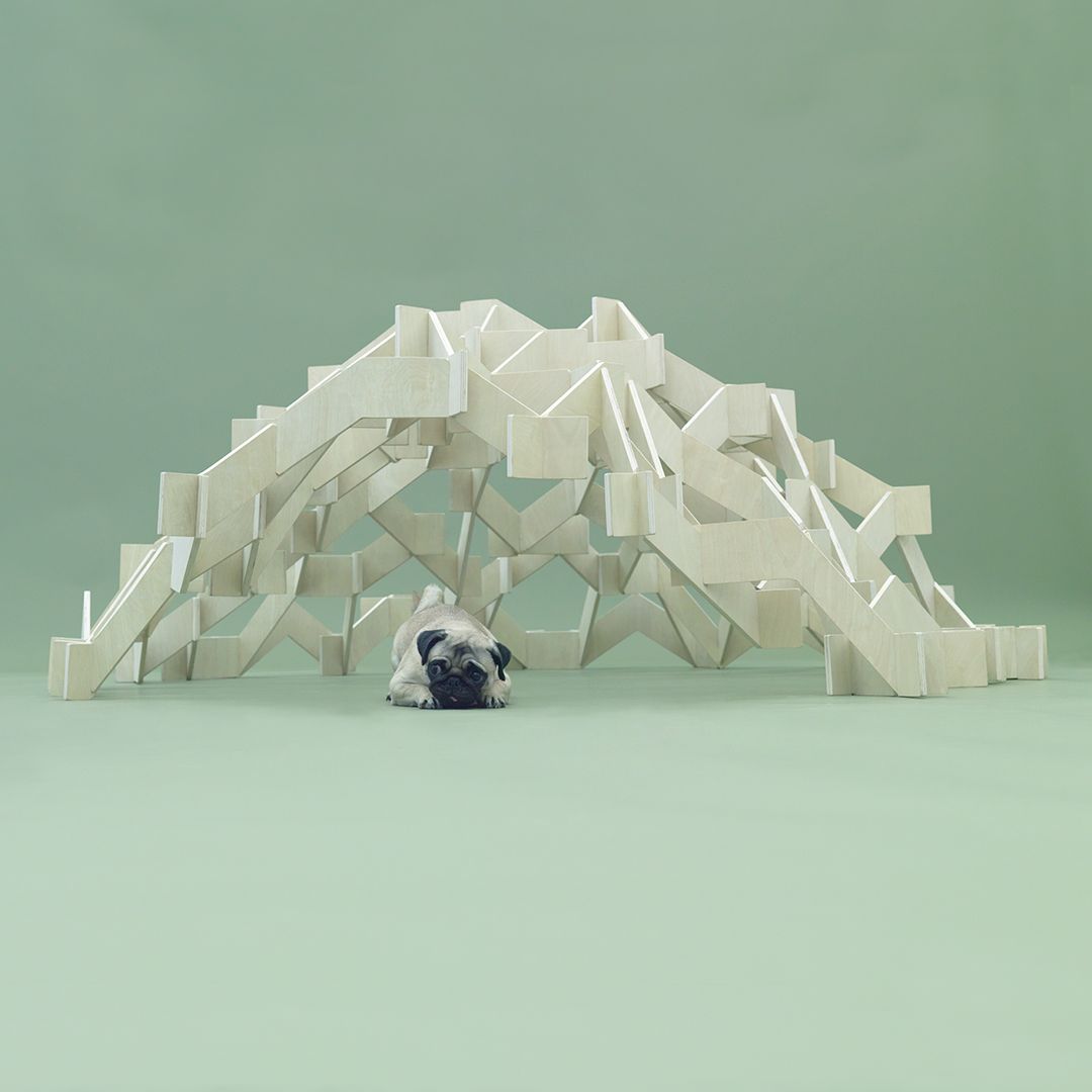 Dog kennel