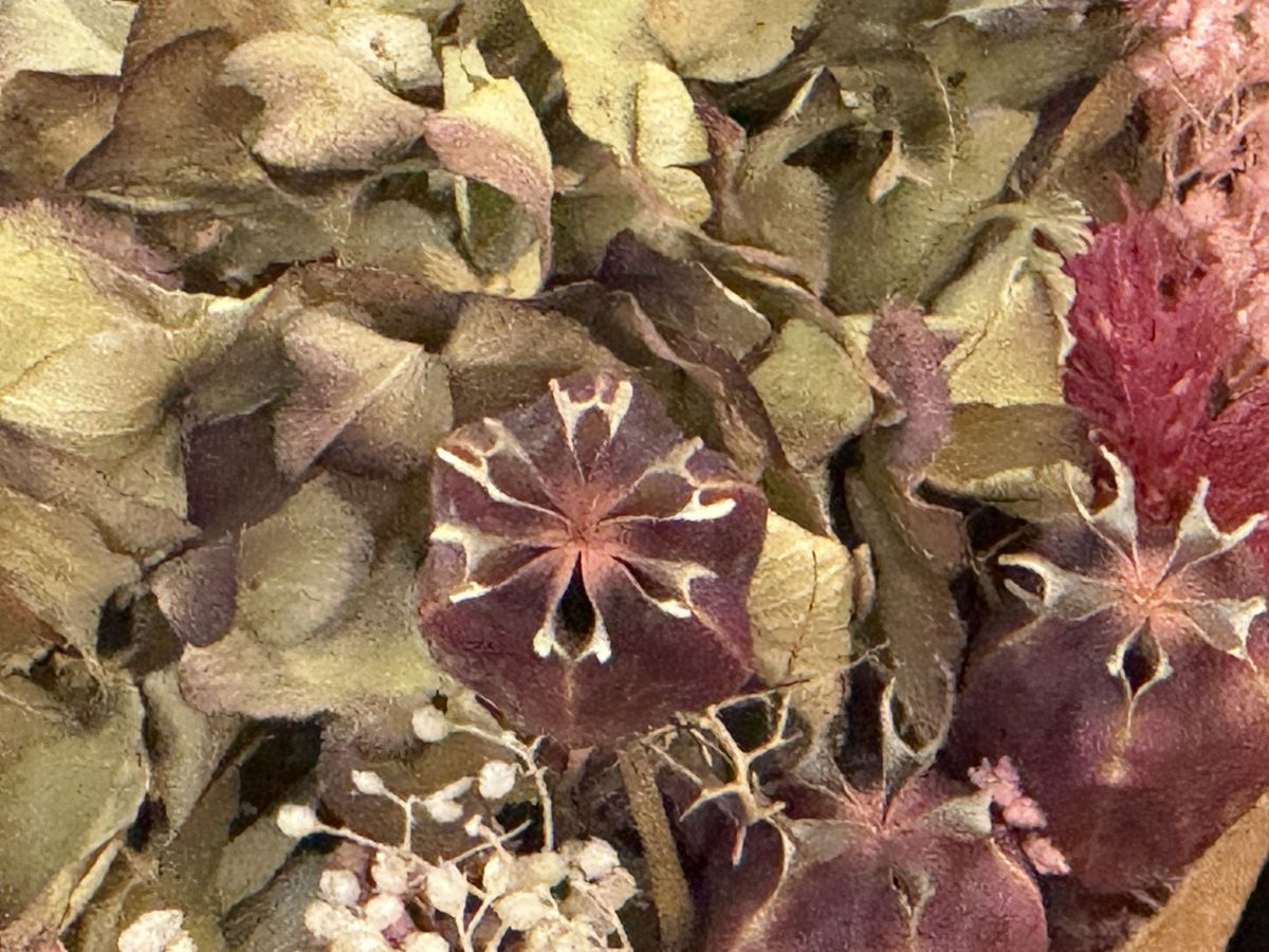 Apple iPhone 16 Pro Max macro sample.
