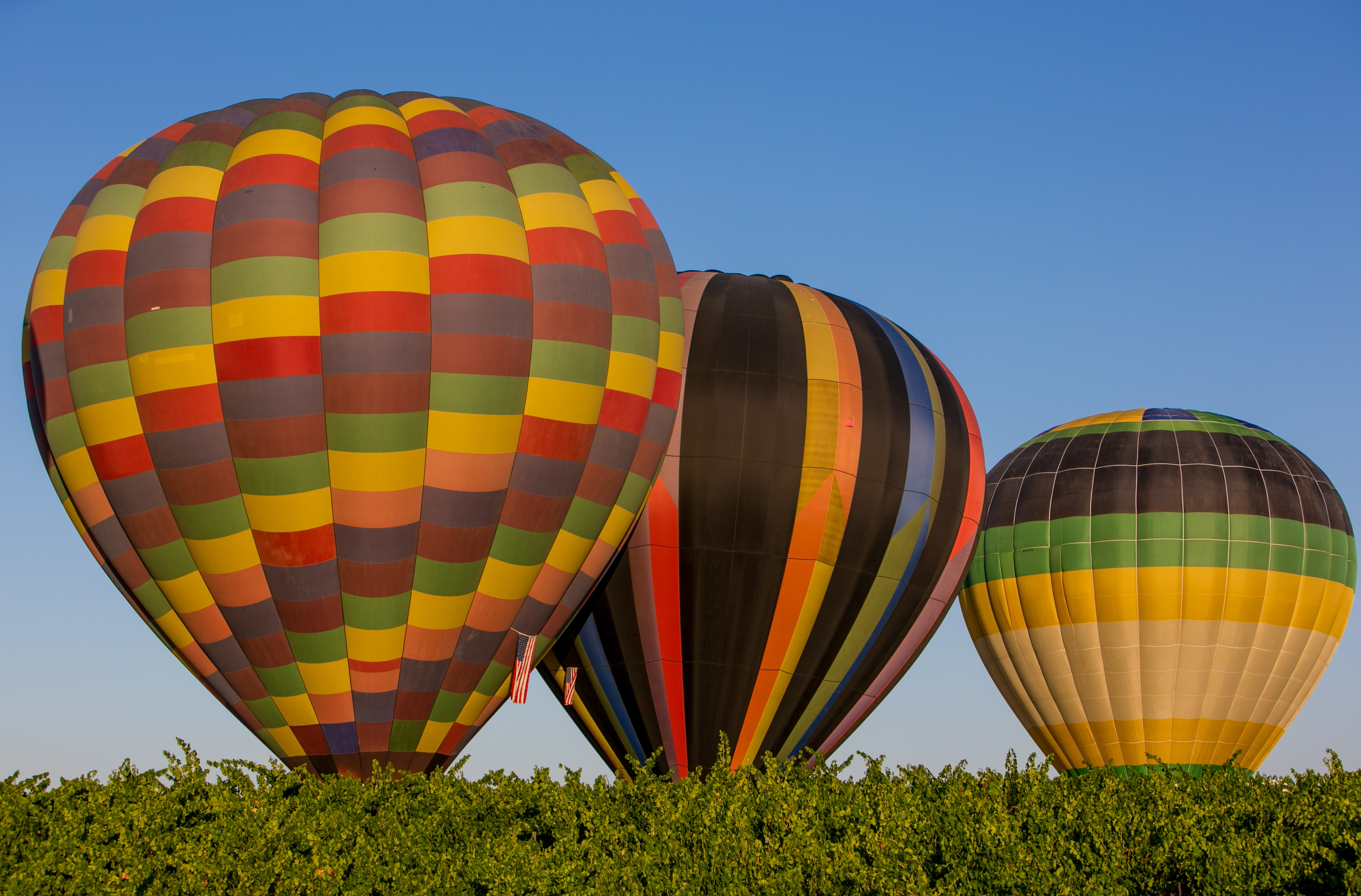 Three colorful hot air balloons prepare to take off by a vineyard in Temecula, California