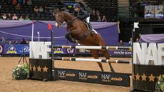 Louise-Harwood-and-NATIVE-SPIRIT_HOYS25_MR5975-1.jpg