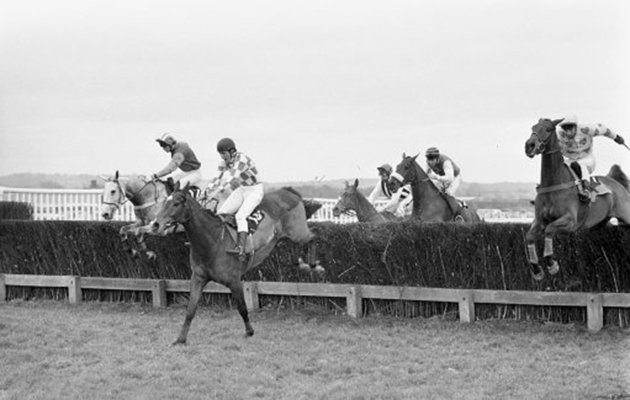 Broadheath, ridden by Paul Nicholls, takes the last fence and heads to victory in the Hennessy Gold Cup at Newbury
