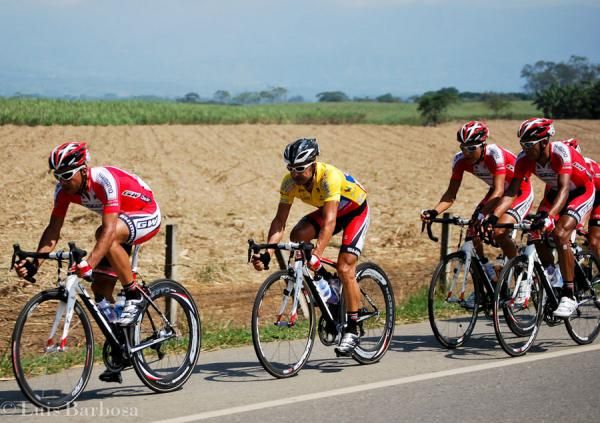 Cardenas shelters in the bunch