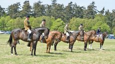 S.Suffolk-08.05.1645635.jpg