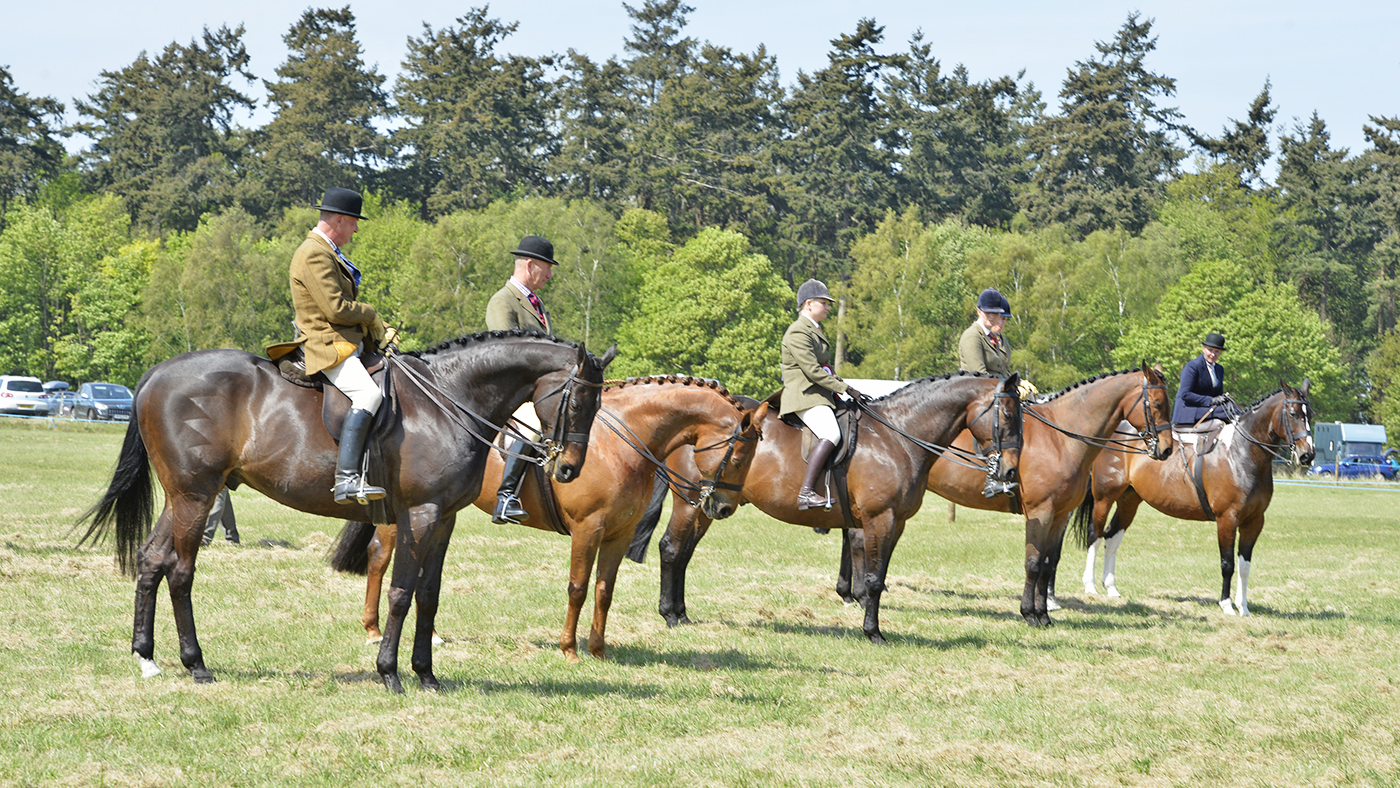 S.Suffolk-08.05.1645635.jpg