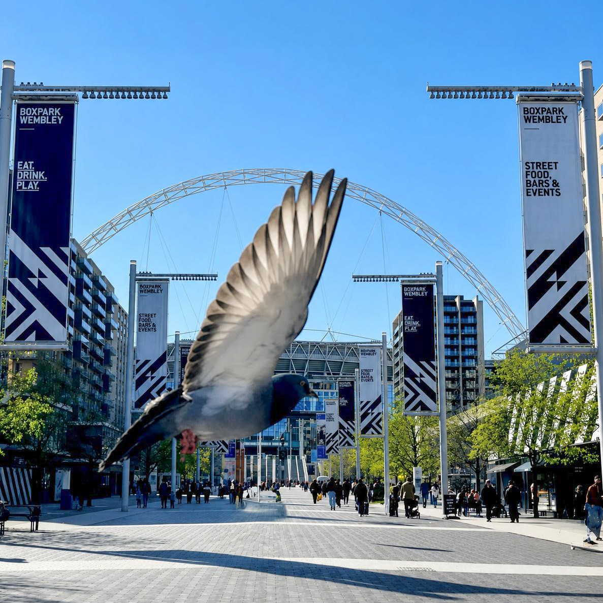 Pigeon flying across urban walkway