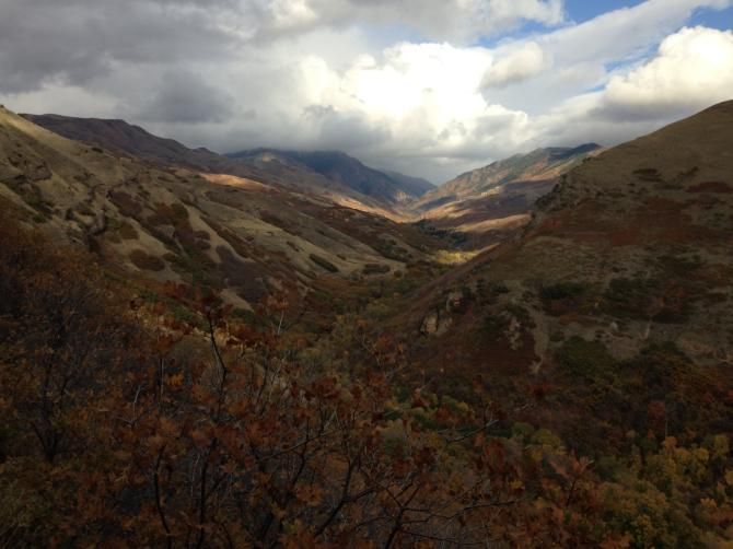 It's been hard to stay on the trail lately with all the nice views and lighting.