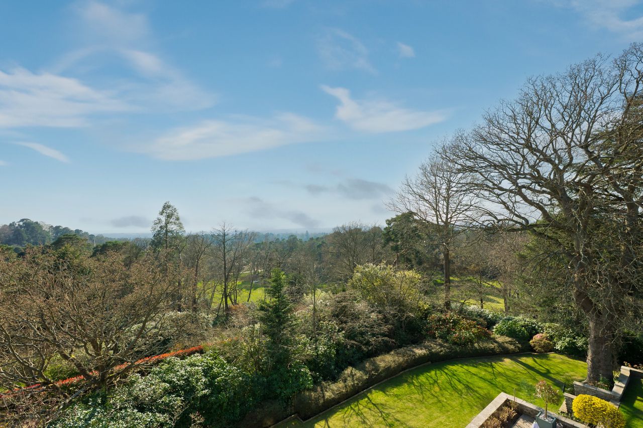 Images of Yaffle Hill in St George's Hill, Surrey