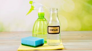 A bottle of white vinegar next to a sponge and a spray bottle