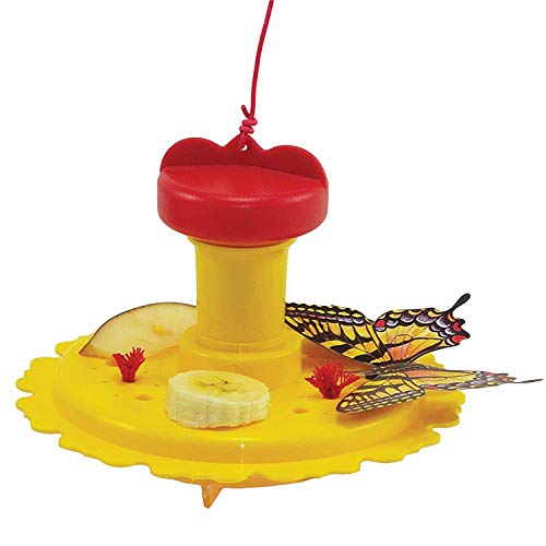 2pk Butterfly Feeder / Nectar Combo