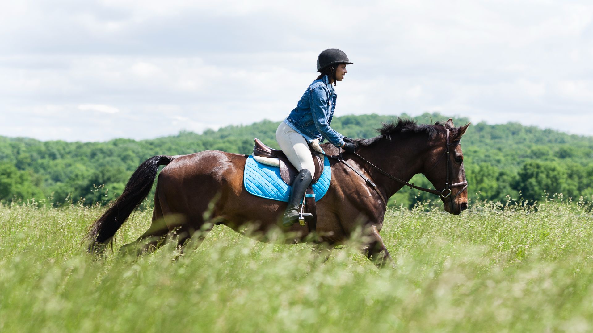 woman cantering on a bay horse through a meadow