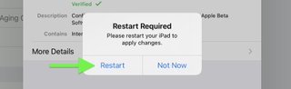 iPadOS 15 beta how to download: tap Restart