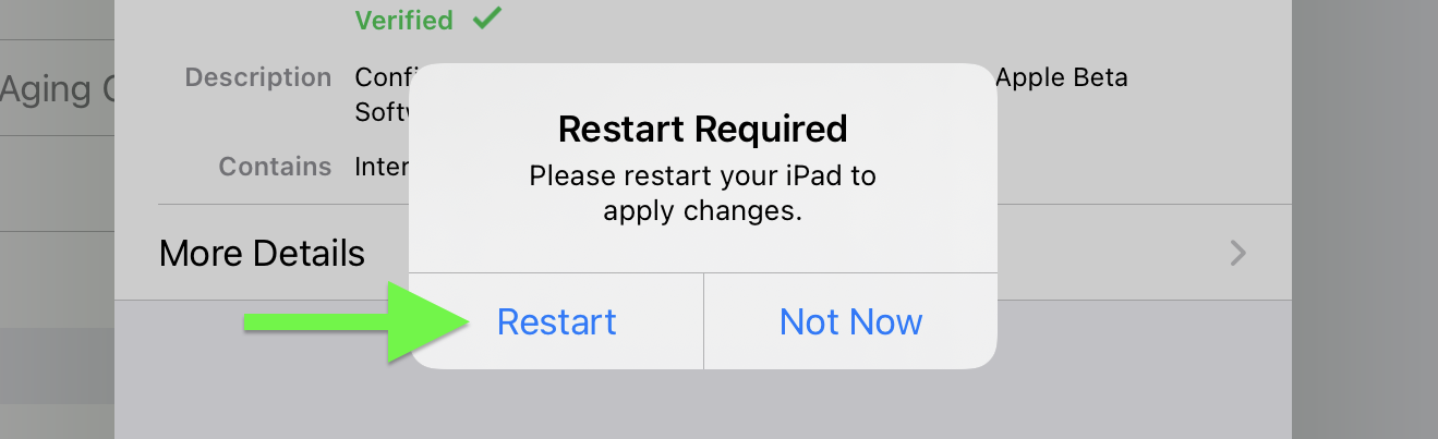 iPadOS 15 beta how to download: tap Restart