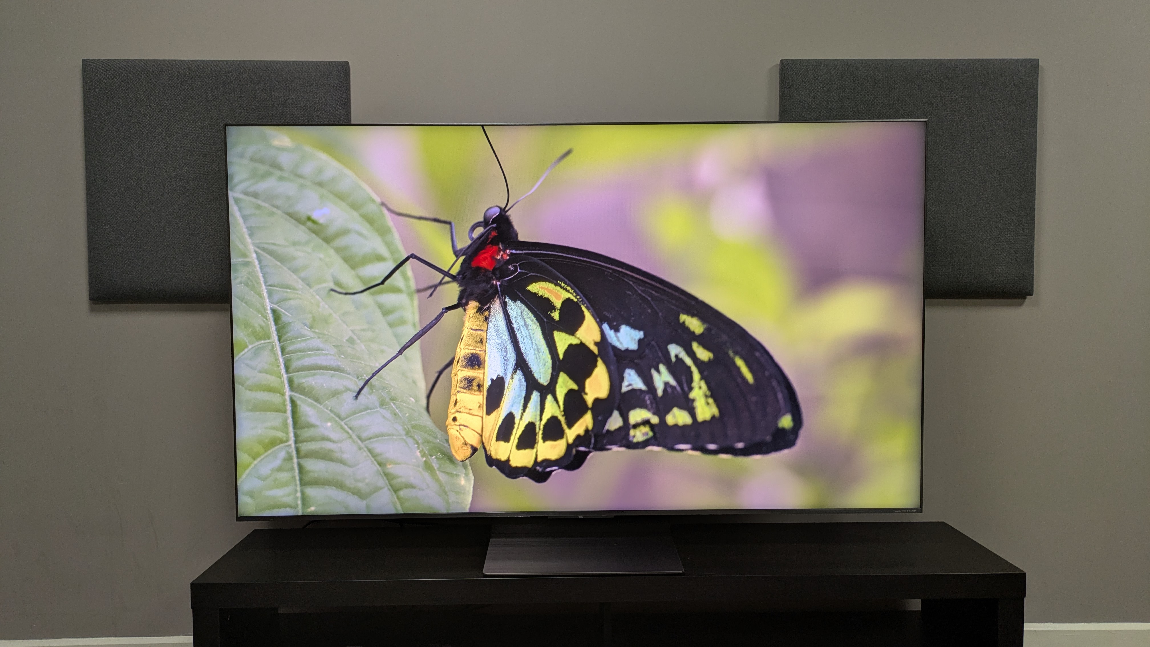 TCL C8K with yellow butterfly on screen