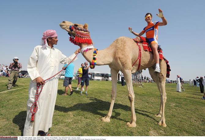 Maarten Tjallingii (Rabobank) on the camel at the 2011 Tour of Qatar