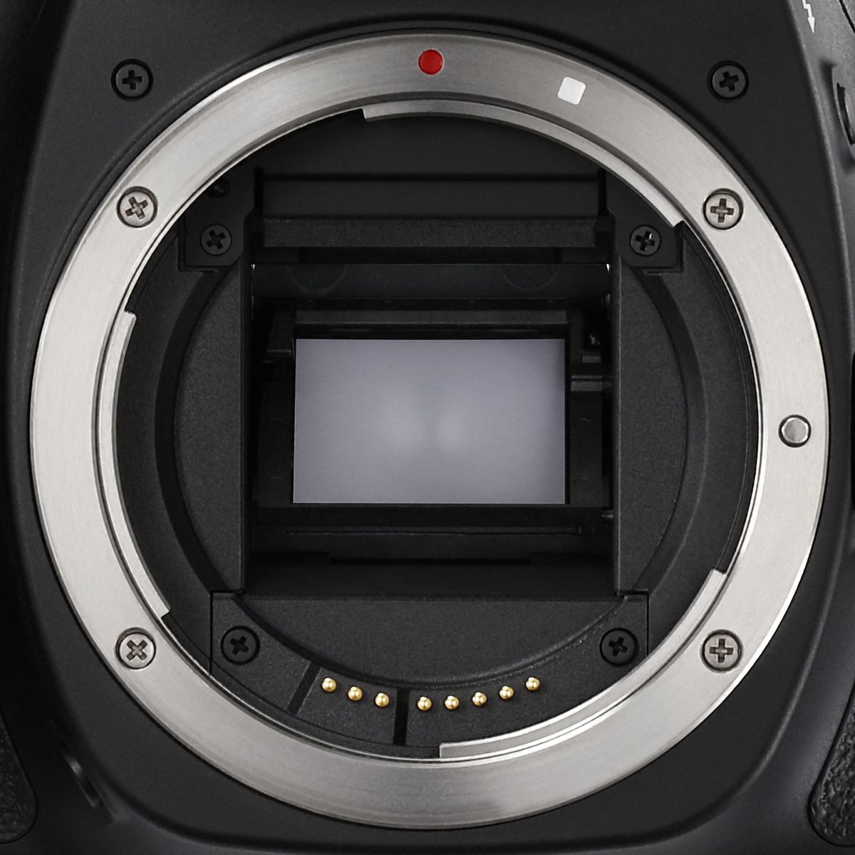The complete guide to Canon's lens terms Digital Camera World