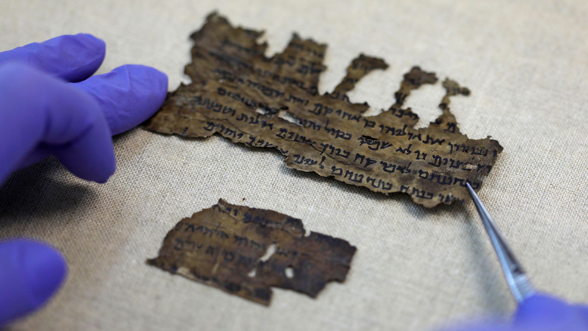 man in gloves holds dead sea scroll fragment with tweezers