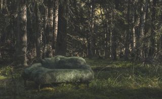 Nature Furniture by Front and Moroso