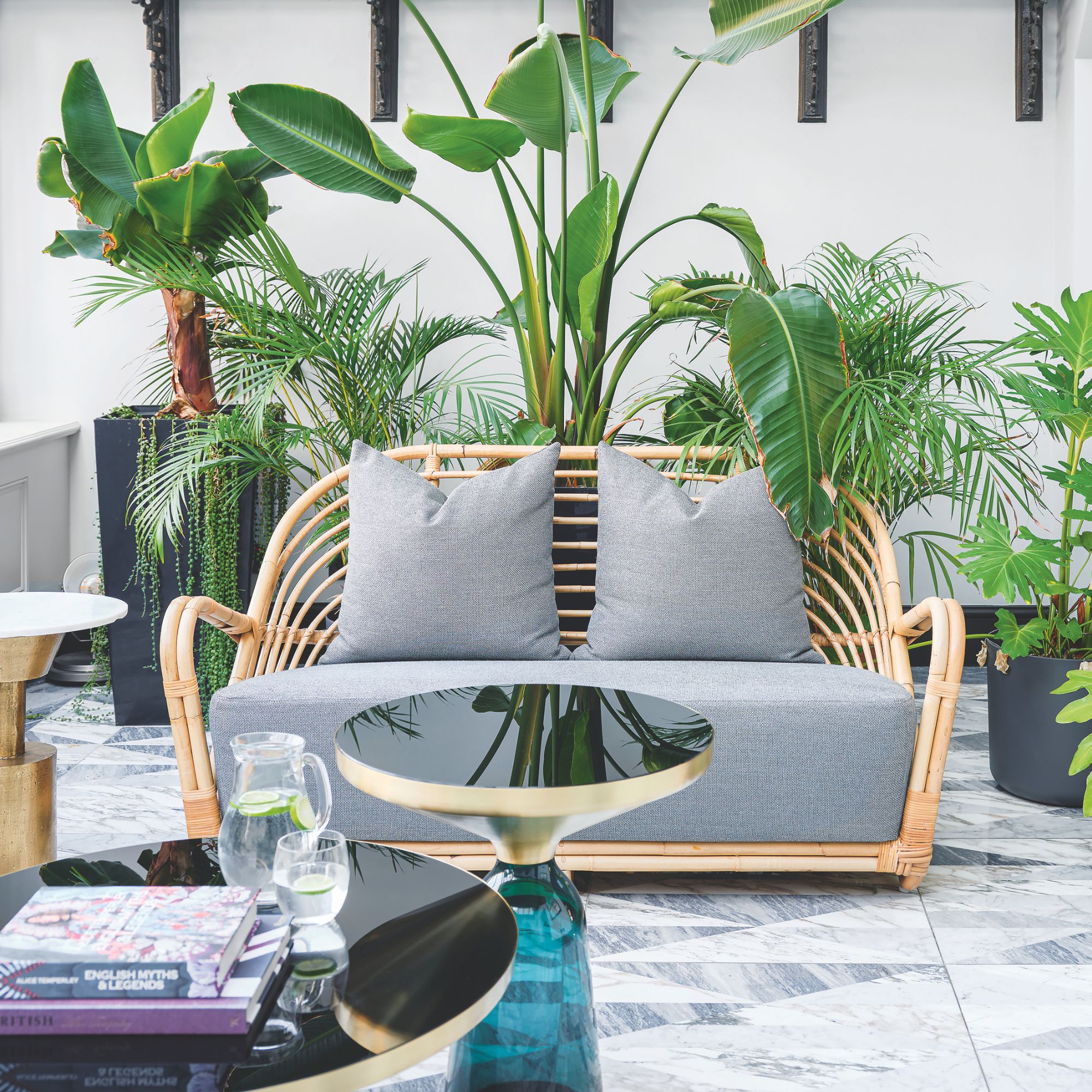 Grey double-seat sofa with wooden back, surrounded with house plants