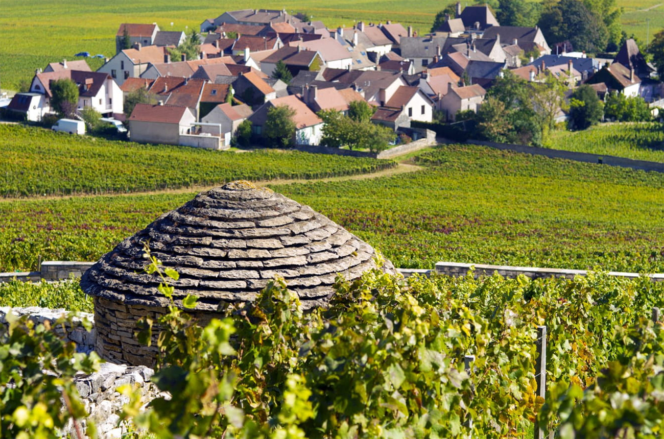 Value C&ocirc;te de Nuits