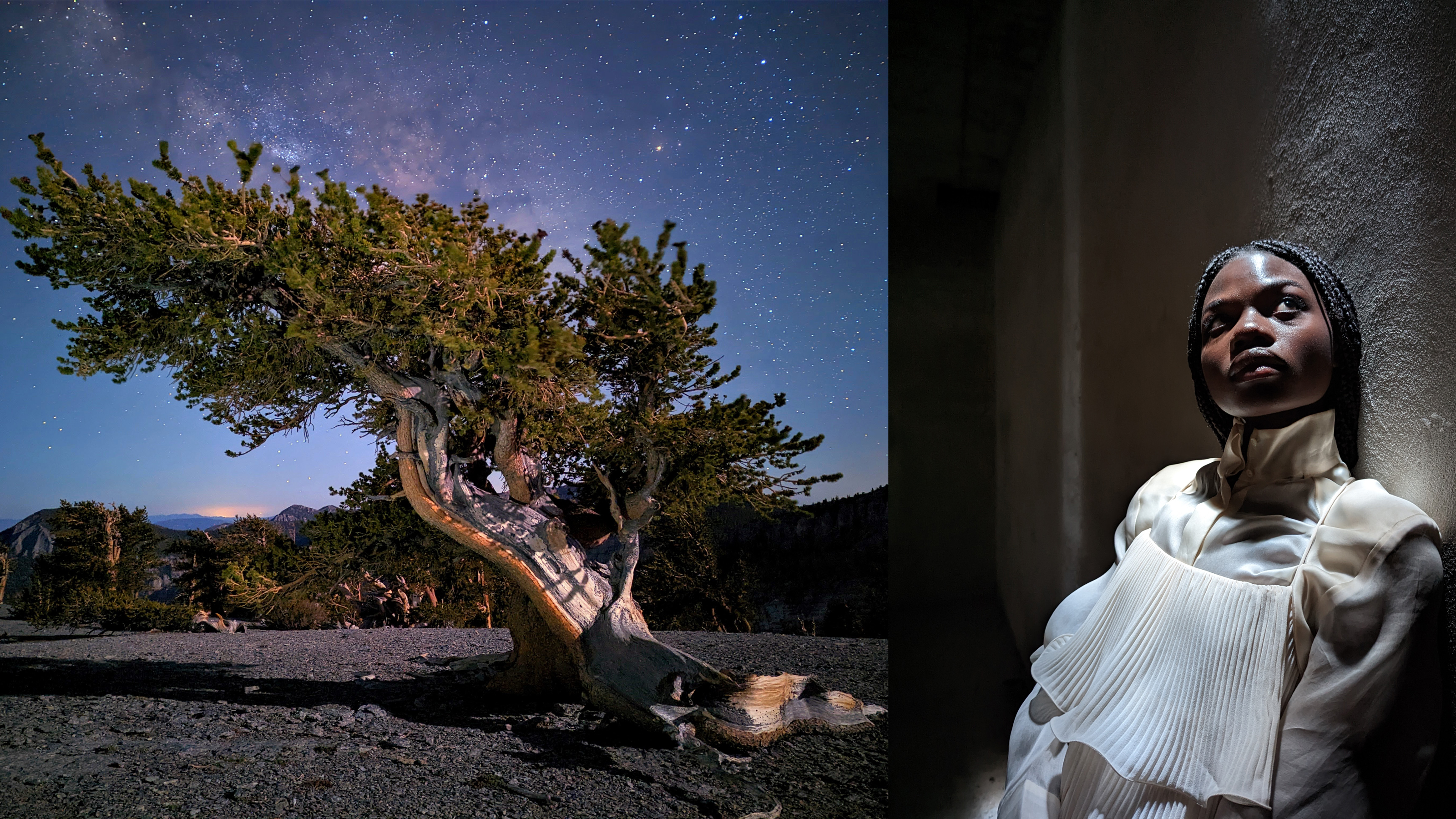 A tree under a night sky and a woman leaning against a dark wall