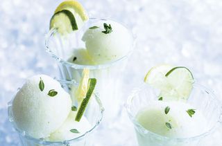 Summer dessert recipes: Gin and tonic sorbet