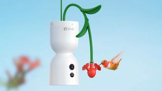 Birdfy Hum Feeder Pro with a hummingbird feeding