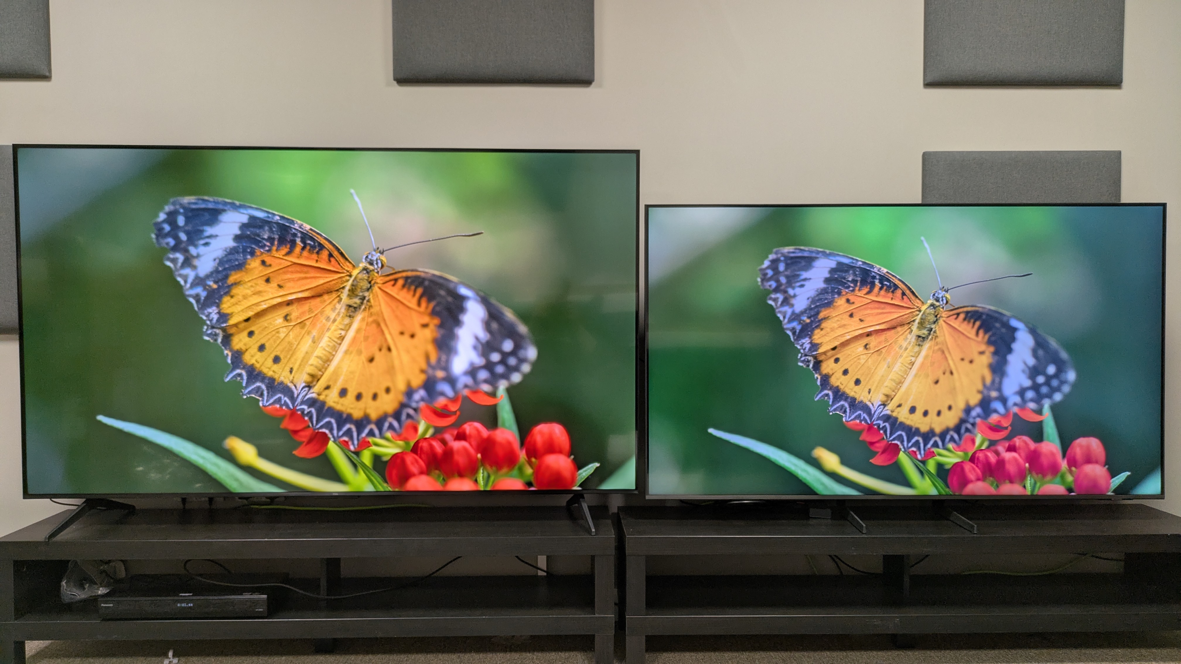 TCL Q6C (left) vs Samsung Q8F (right) showing orange butterfly on screen