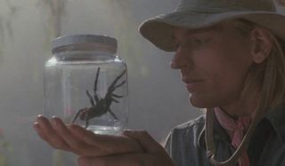 Arachnophobia a researcher studies a jarred spider