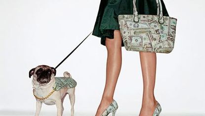 model carrying a dollar bill purse walking dog wearing a dollar sign cape