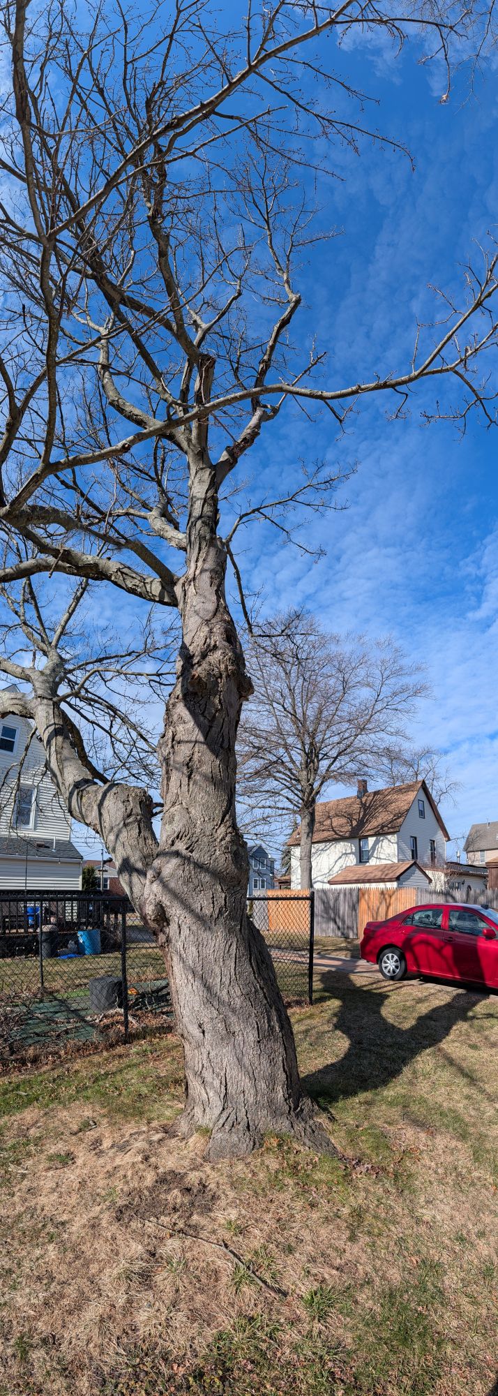 Google Pixel 10 Pro XL vertical panorama sample.