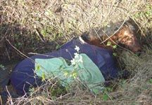 ditch_rescue.jpg