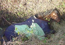 ditch_rescue.jpg