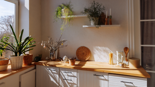 Kitchen with wooden counter tops