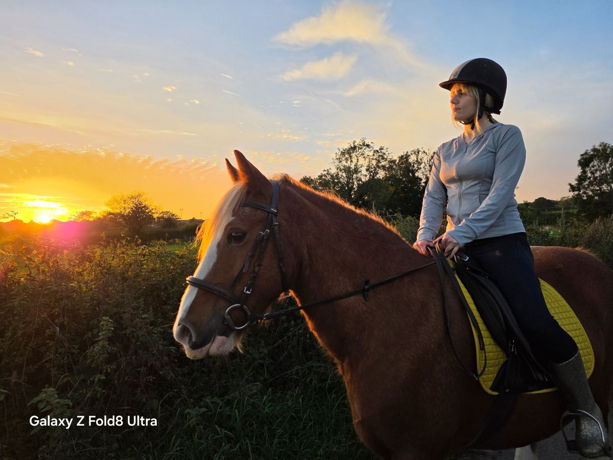 Horse rider on a chestnut horse silhouetted against a vivid orange sunset over the countryside.