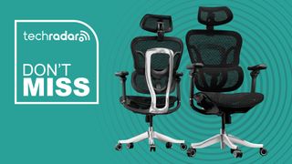 FlexiSpot chairs