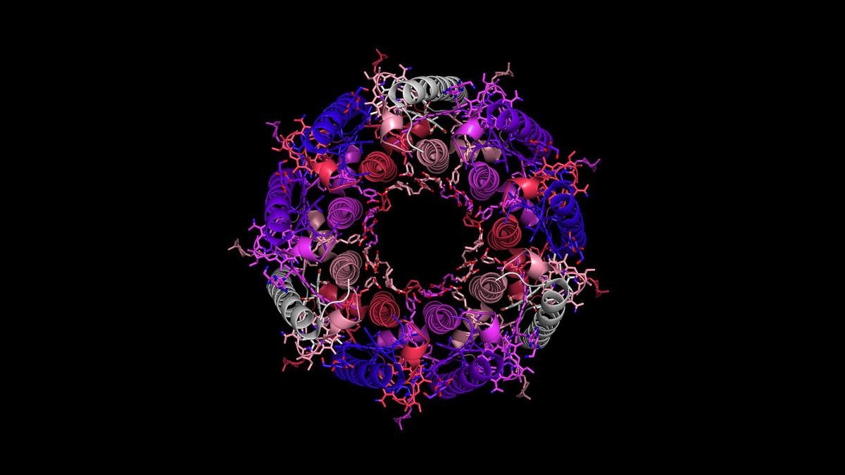 Molecular machinery, like this light-harvesting complex from a bacterium, is often strikingly symmetrical.