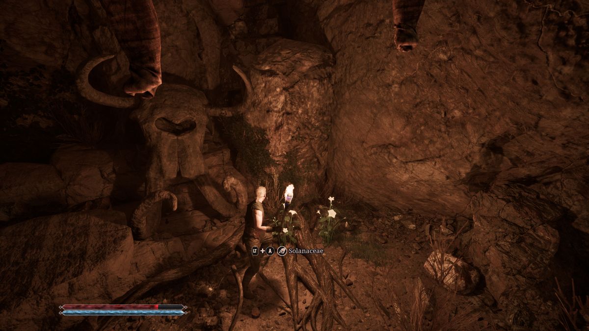 Gothic Remake The Forgotten Recipe: A player looking at solanaceae inside a dark cave, holding a torch for light.