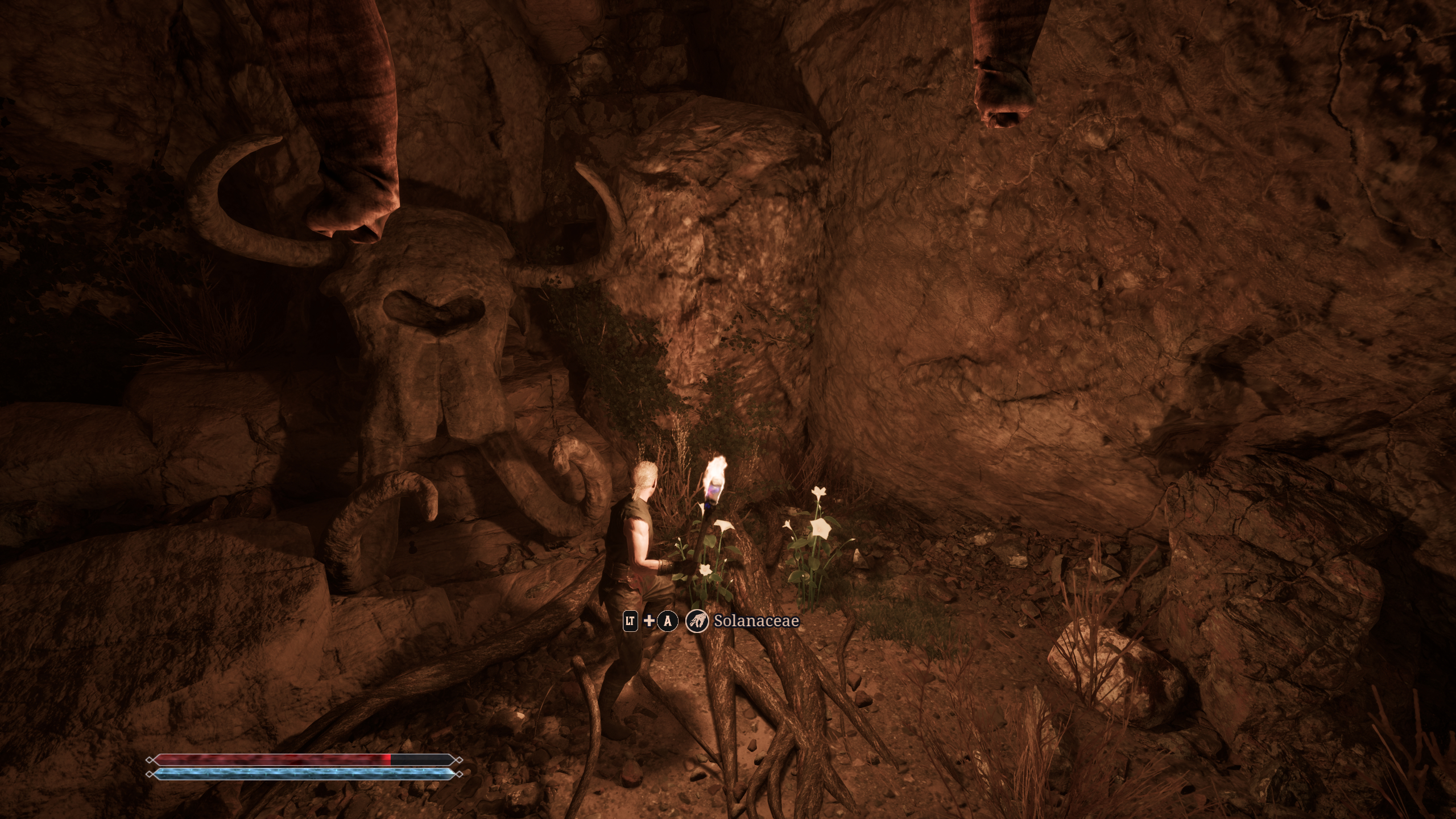 Gothic Remake The Forgotten Recipe: A player looking at solanaceae inside a dark cave, holding a torch for light.