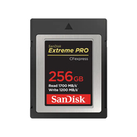 SanDisk 256GB Extreme Pro CFexpress card |