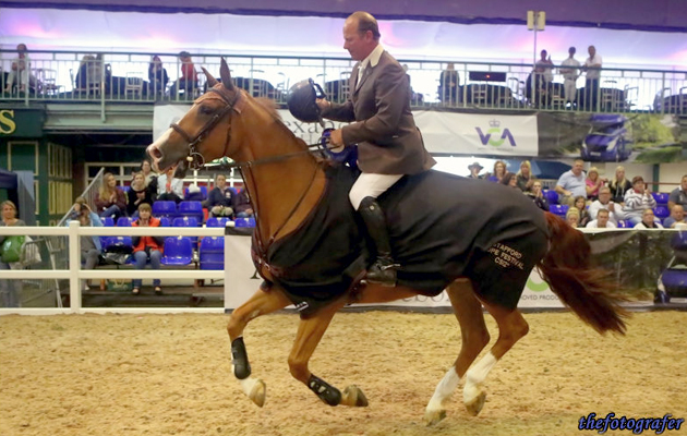 SCOPE FESTIVAL (UK) SUPREME CHAMPIONSHIPSAUGUST 23RD -30TH 2015