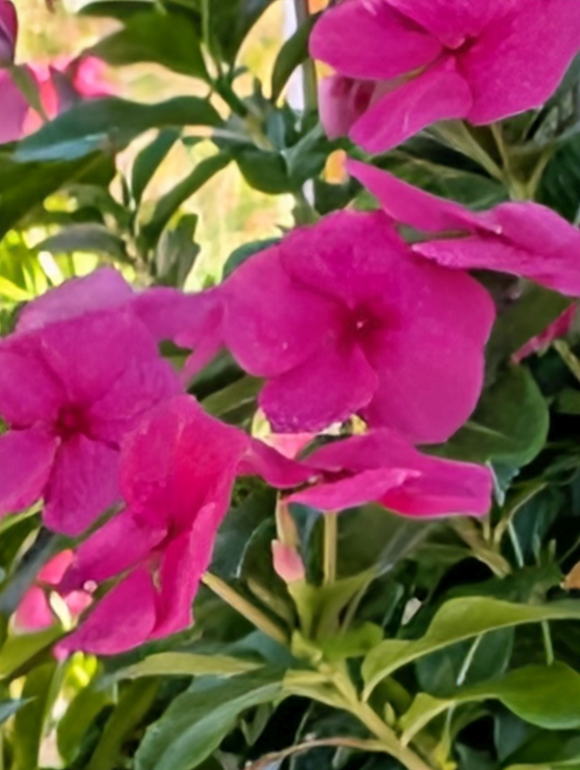 Google Pixel 10 Pro XL Pro Res Zoom sample.