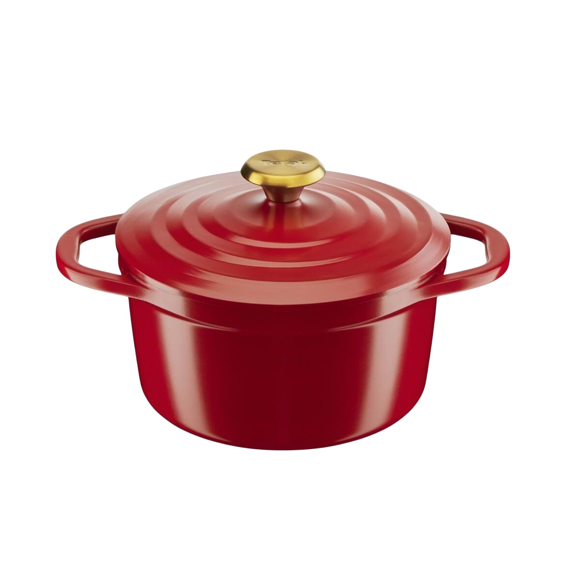 Tefal Air Stewpot