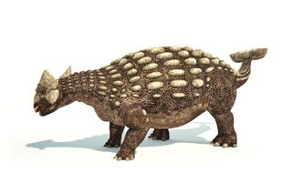 Ankylosaurus