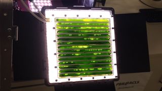 In the Photobioreactor, the green microalgae Chlorella vulgaris converts carbon dioxide into oxygen and edible biomass through photosynthesis.