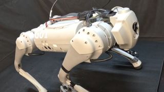 White robot dog with wires on its back.