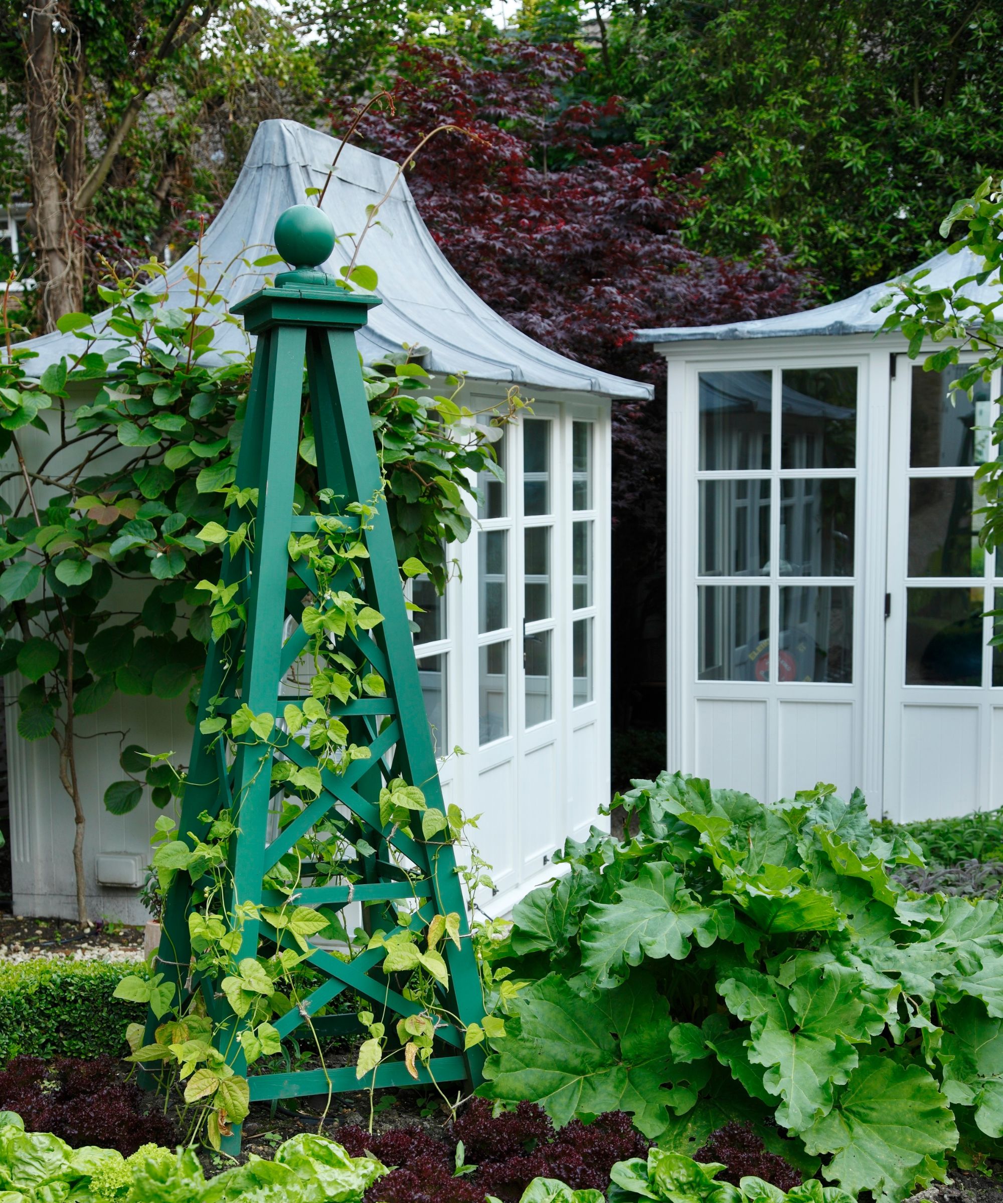 Two white and glass sheds with a leafy vegetable patch in the foreground.