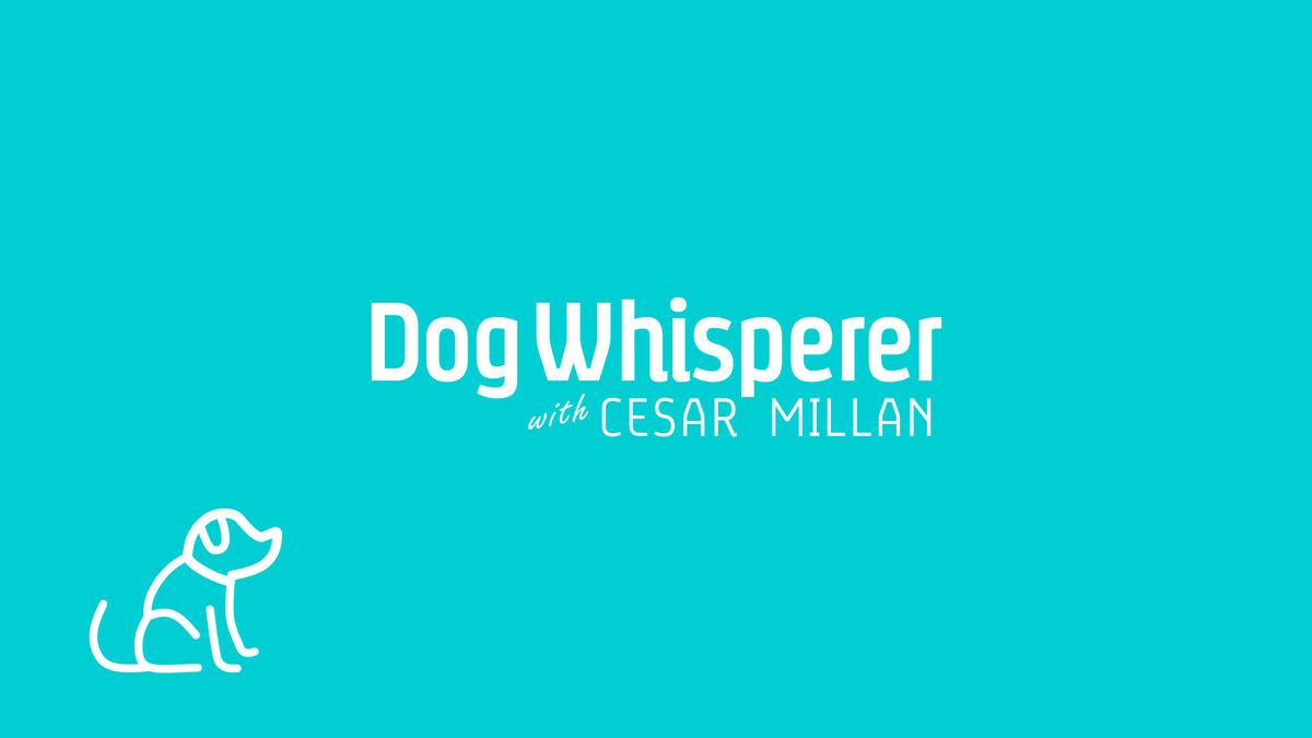 Dog Whisperer with Cesar Millan