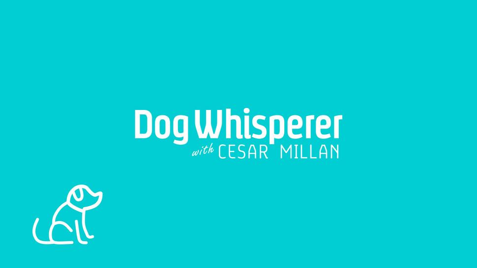 Cineverse Debuts New FAST Channel Dog Whisperer with Cesar Millan TV